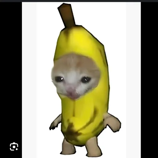 creator banana cat ...'s avatar