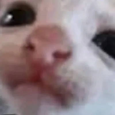 creator Lumiphora2's avatar