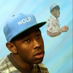 creator 🩵🟦Wolf Haley🟦🩵's avatar