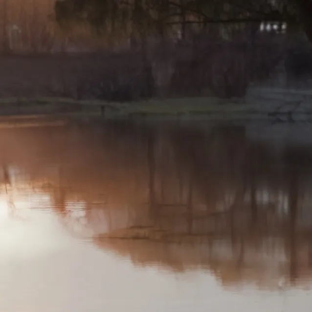 chat with ai character: the mallards 