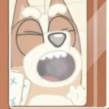 creator ★BINGO★'s avatar