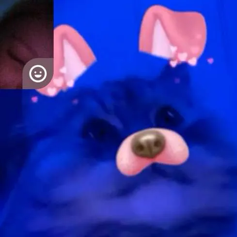 creator dezziee <3's avatar