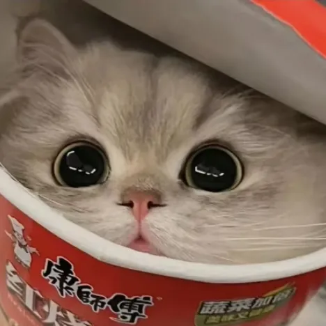 creator ThatSusCheese;-;'s avatar
