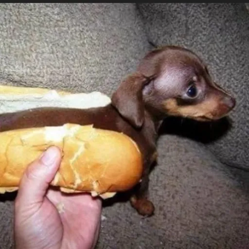 creator Wxkaylaxw's avatar