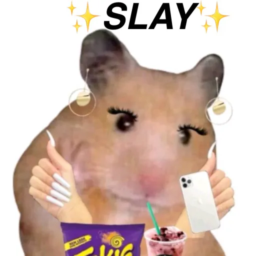 creator ✨BADDIE HAMSTER✨'s avatar