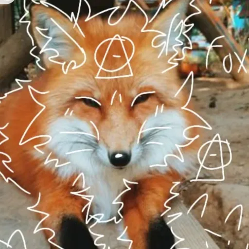creator 🌙🍂🦊RuStY_pAw🐾🍂🌙's avatar