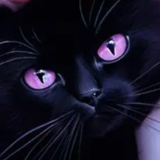 creator •°Ãshër°•'s avatar