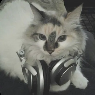 talkie's author avatar