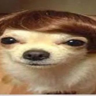creator Alex928's avatar