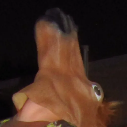 creator Acesnick2's avatar