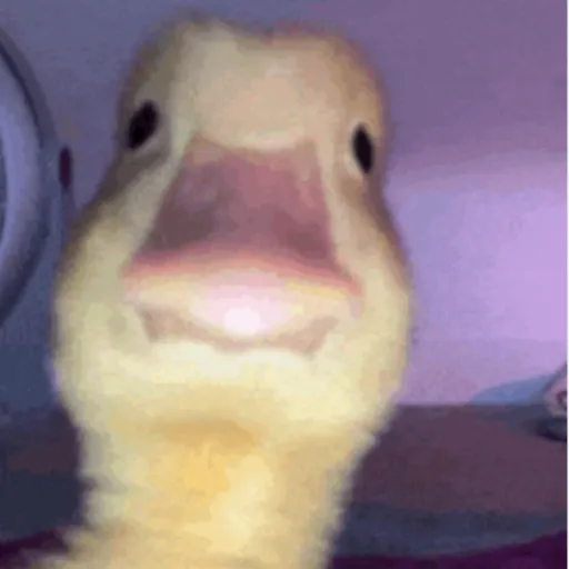 creator ✨PREPPY DUCKS ✨'s avatar