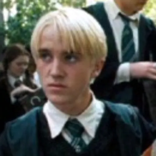 creator Draco_Malfoy_Wifey's avatar