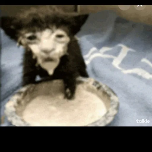 creator SEUNGMINLOV3R :D's avatar