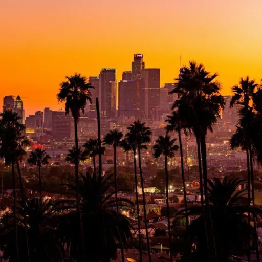 creator KogaTigerKing's avatar