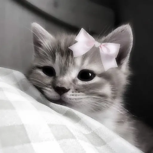creator Lucy>:3's avatar