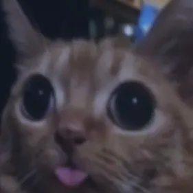 creator Aiko_>:3's avatar