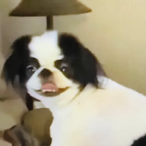 creator Depresso's avatar