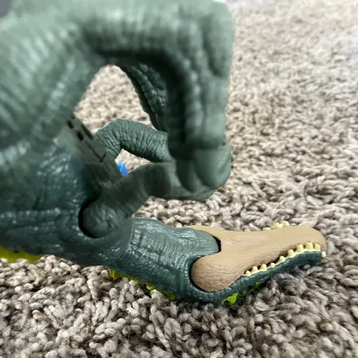 creator It is not Spino's avatar