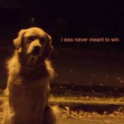 creator 🥳🎉 Silly 🥳🎉's avatar