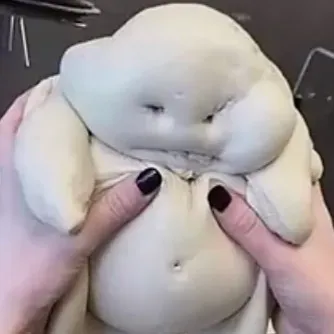 creator dough baby's avatar