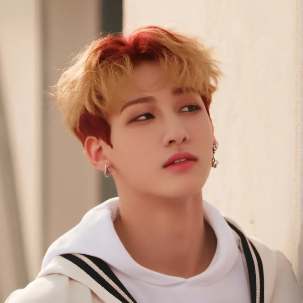 chat with ai character: Bangchan (Chris)