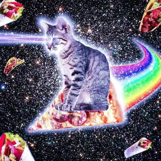 creator Thickd1ckdaddy72's avatar