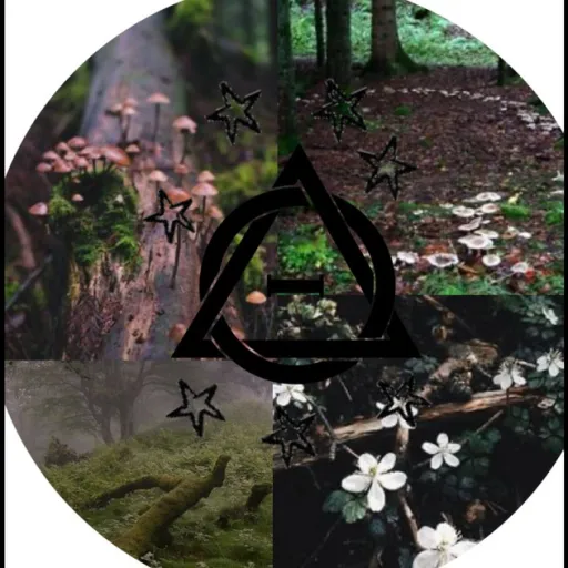 creator ♥︎♡THERIANS♡♥︎'s avatar