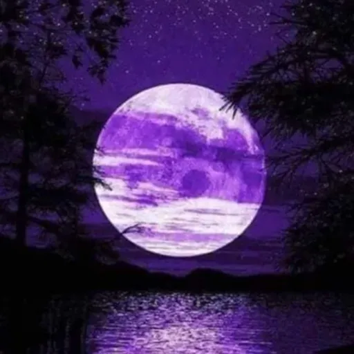 creator "~Luna~''s avatar