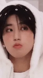 ai character: Han jisung background