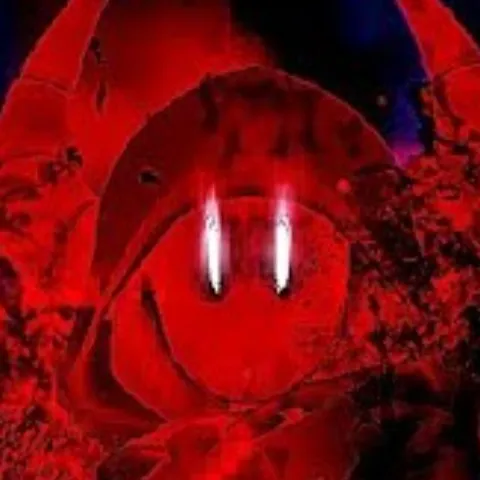 creator C00lk7dd's avatar