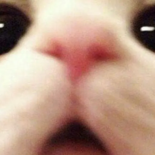 creator Rawr_Rawr's avatar
