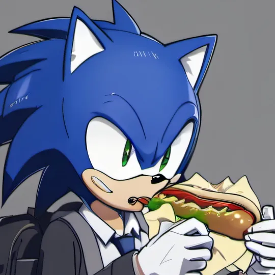 chat with ai character: SONIC ROAD TRIP!!!