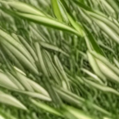 chat with ai character: Grass