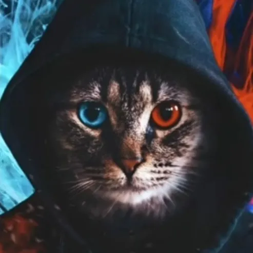 creator Talkior-xxtKKsDo's avatar