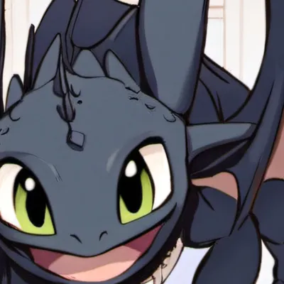 chat with ai character: Toothless