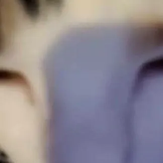 creator unidentified thing's avatar