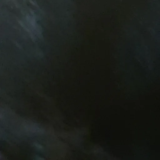 creator nxladaxx.'s avatar