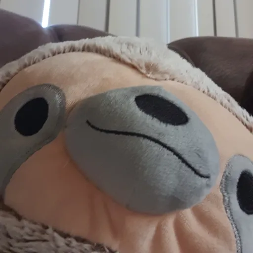 creator Dawg feet's avatar