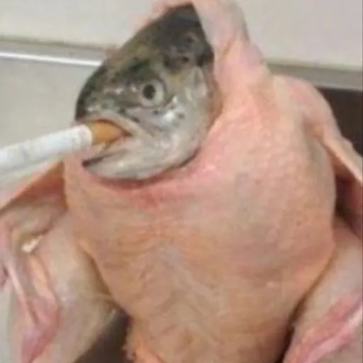 creator SmokingFicken's avatar