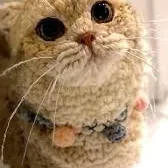 creator Yarn cat <3's avatar