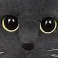 creator •~itz-moon-girl~•'s avatar