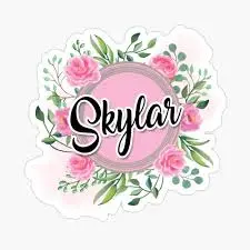 creator 🌺🍭SKYLAR🍭🌺's avatar