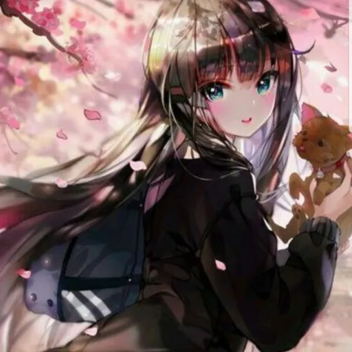 creator Talkior-QDO0nfTz's avatar