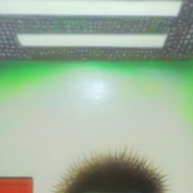 chat with ai character: tom