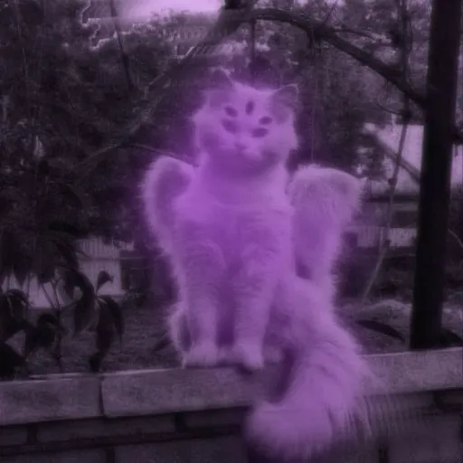 creator ✨✿🩷Silly Goober🍭✿✨'s avatar