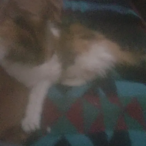 creator MycatGizzie!'s avatar