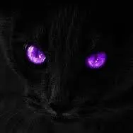 creator ♡~Kit~♡'s avatar