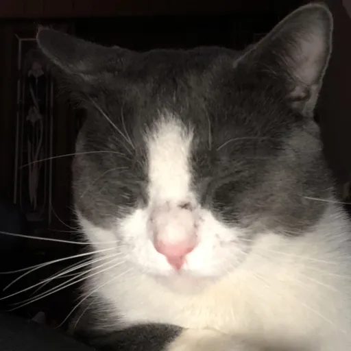 creator Don't make me mad's avatar