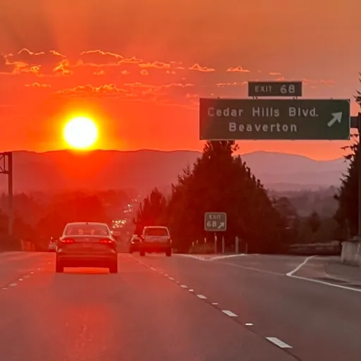 creator bikerguy's avatar