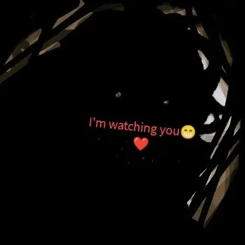 creator I'm watching you 😍's avatar